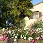 Podere Il Giurato * Fauglia