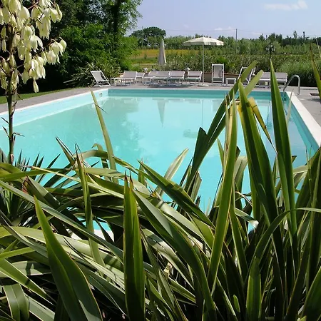 Podere Il Giurato Fauglia
