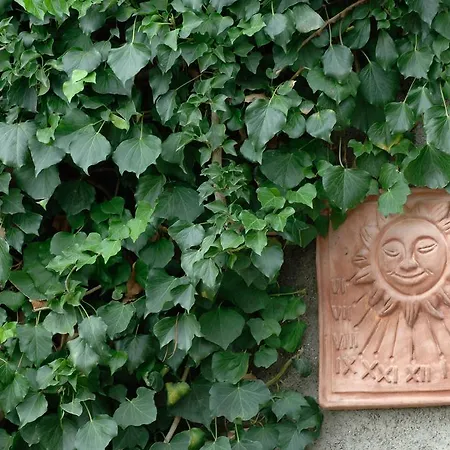 Apartment Podere Il Giurato Fauglia