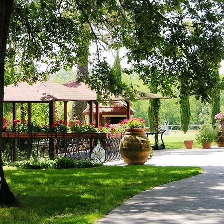 Podere Il Giurato Fauglia
