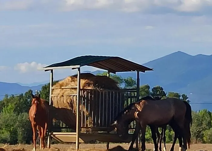 아파트 Podere Il Giurato *