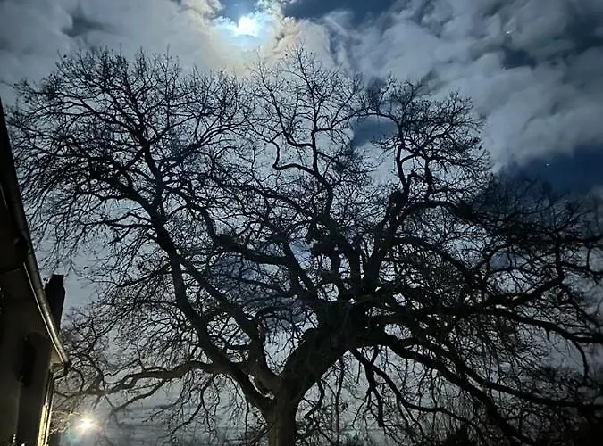 Podere Il Giurato 아파트