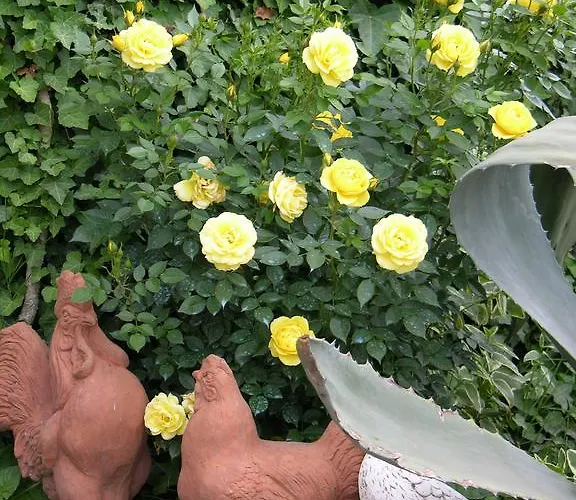 Podere Il Giurato 파우글리아